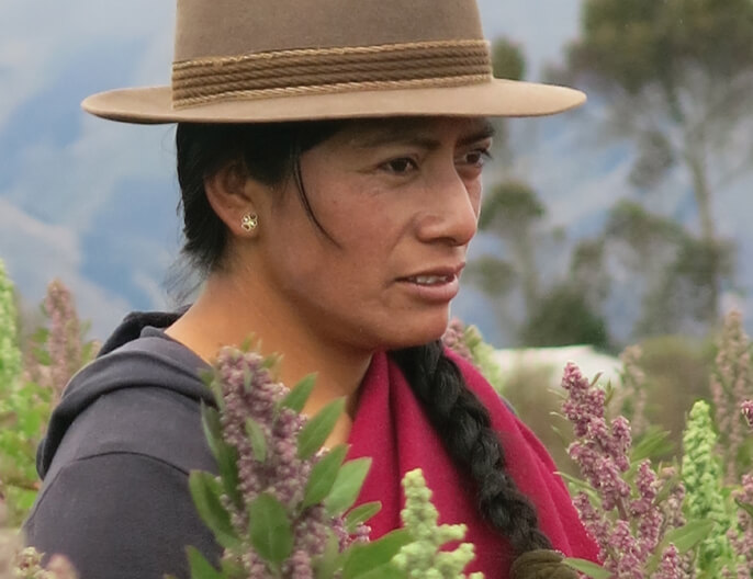 Productrice quinoa croquante Chimborazo en Equateur
